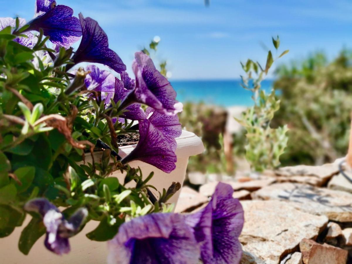 Apartmán Beachfront House Geremeas Sardegna Exteriér fotografie